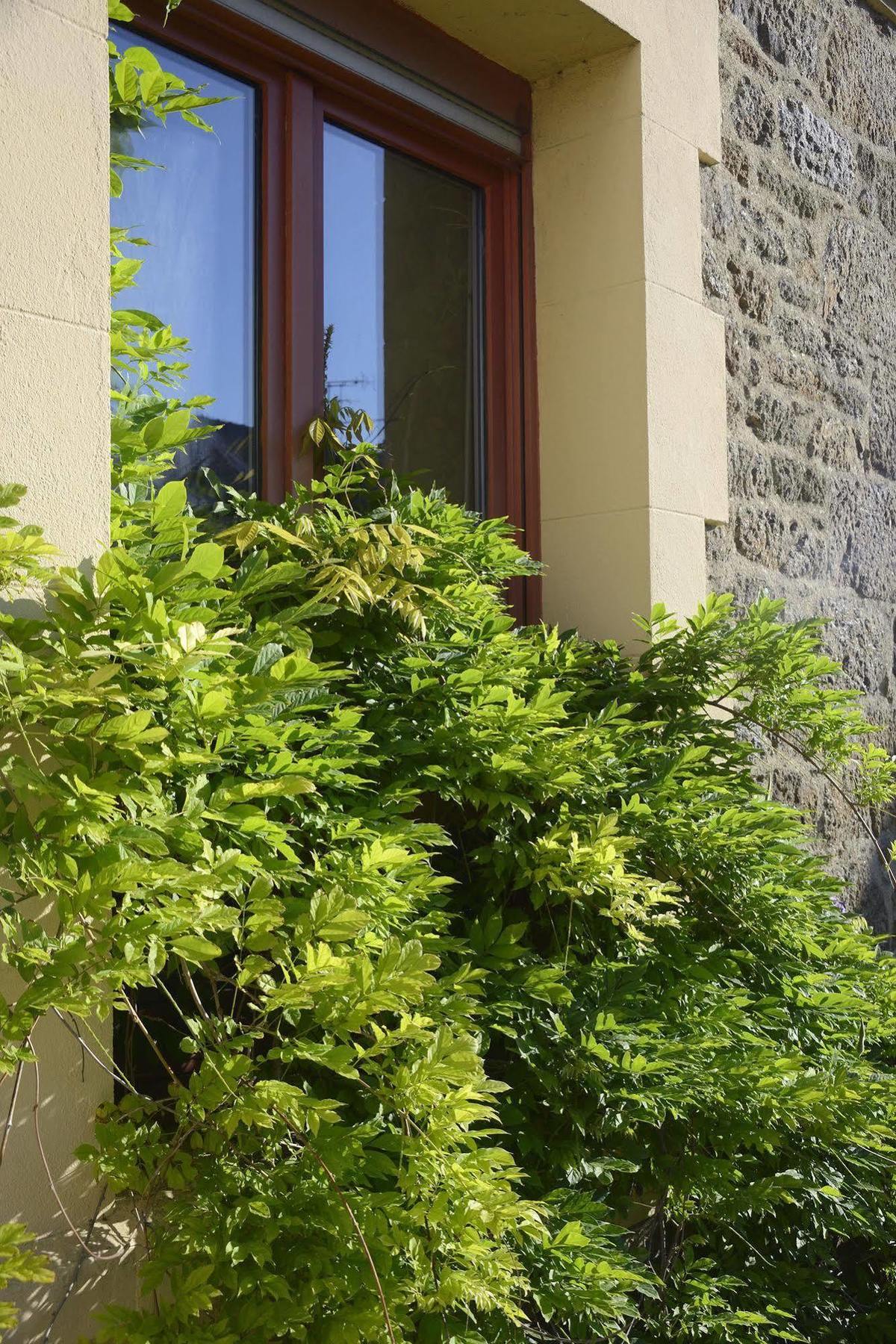 Les Charmettes Hotel Saint-Malo Exterior foto